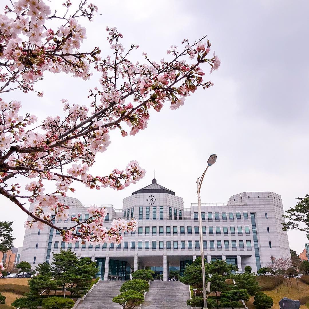 nhận biết trung tâm du học Hàn Quốc
