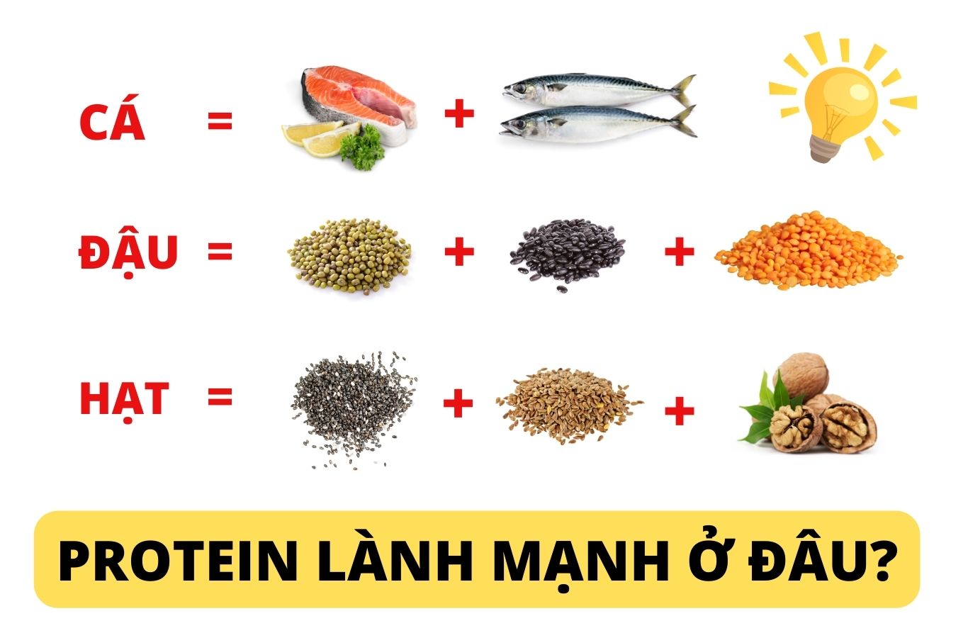 Protein lành mạnh được lấy từ các loại cá, đậu, hạt