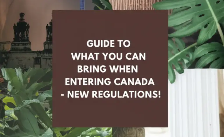 Hướng Dẫn Nhập Cảnh Đất Canada Được Mang Những Gì - Quy Định Mới