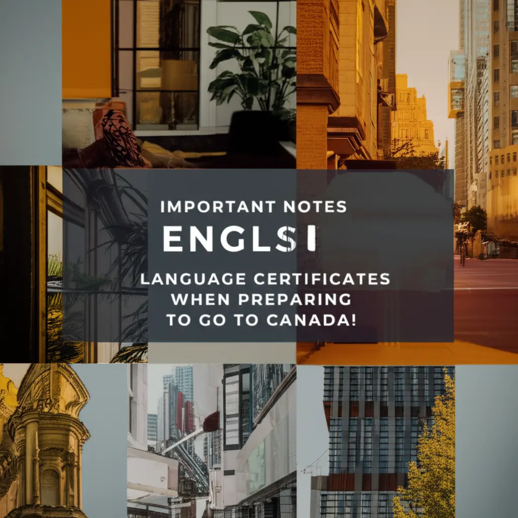 Chứng chỉ nào được chấp nhận ngoài IELTS?
