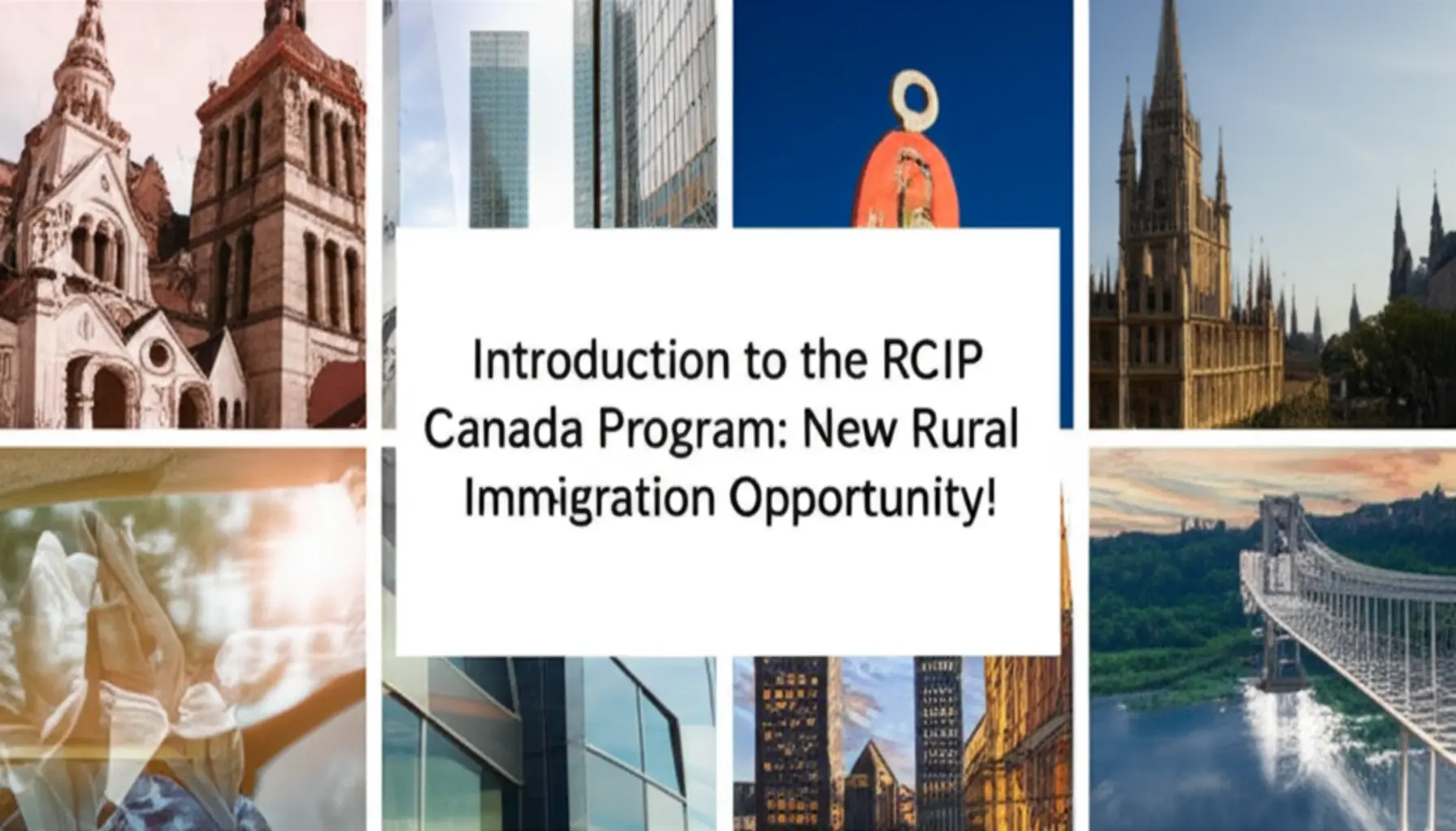 Chương trình RCIP Canada là gì?